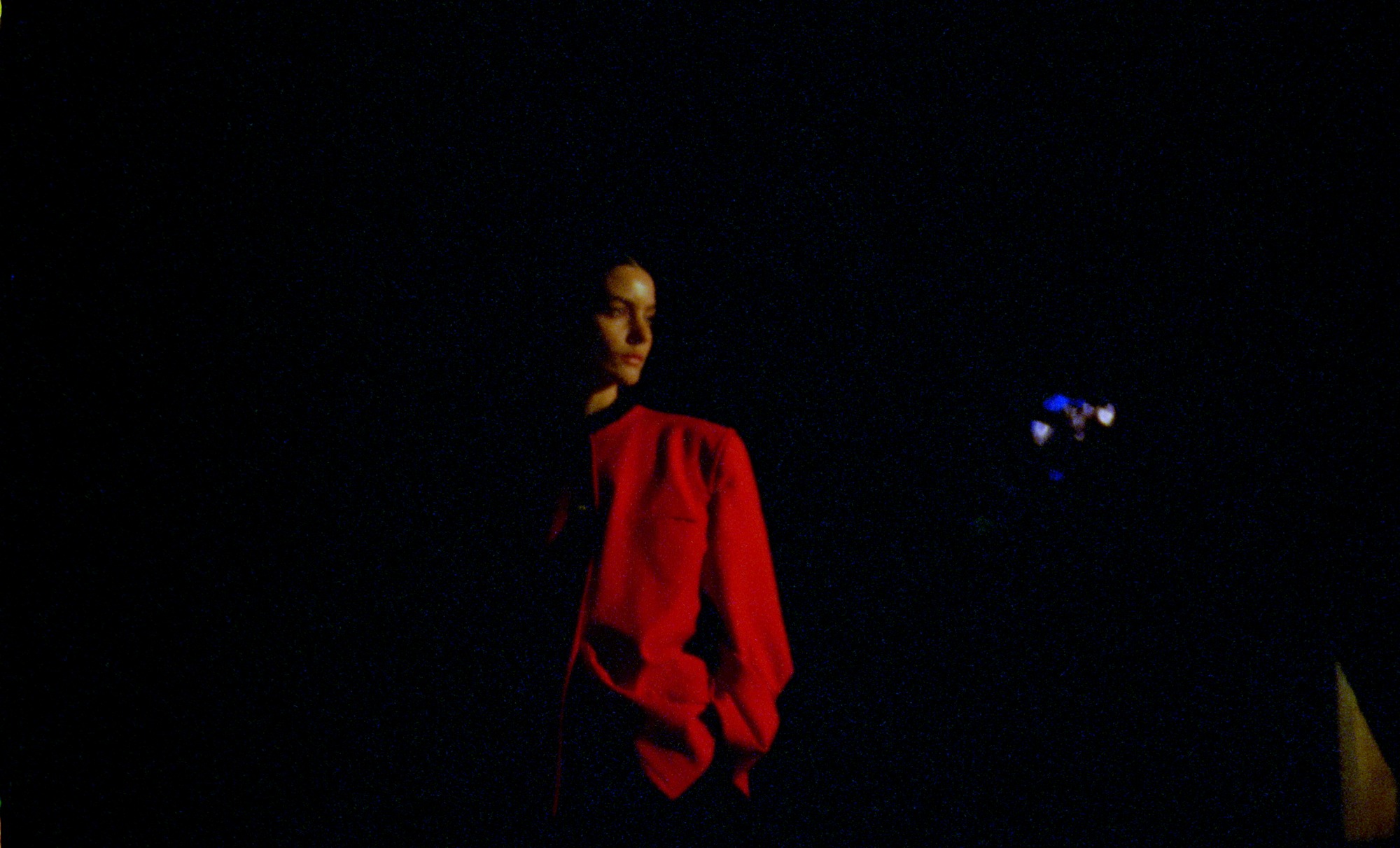 Frame from I’m In Love, cinematography by Rob Berry